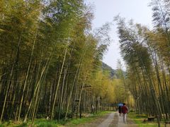 -黄公望隐居地
