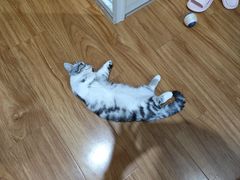 -联合动物医院(光谷诊疗中心)