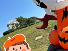 -大塘金香草谷