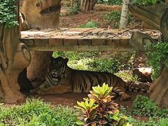 -海南热带野生动植物园