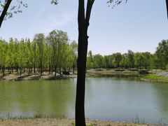 -东郊湿地公园