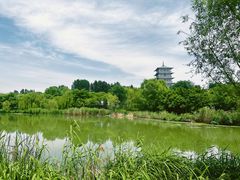 -Supine Bistro溯泮餐厅