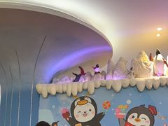 -帝企鹅自助餐厅•儿童岛•真企鹅(长隆企鹅酒店)