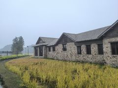 -乌村