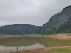 -东莞市大岭山森林公园