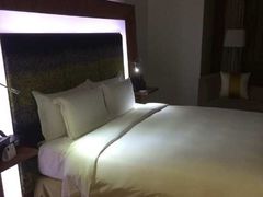 -郑州美豪诺富特会展中心酒店