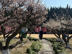 -白马涧龙池景区