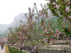 -河南宝泉旅游区