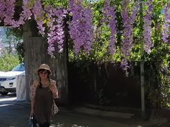 -山乡农家院(海淀区西北旺店)