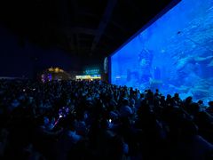 -哈尔滨波塞冬海底世界