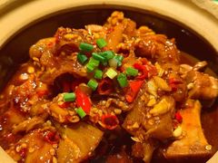 姜辣猪脚烧牛筋-图味美小黄鱼·景德菜(浙江路店)