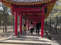 -乌素图国家森林公园