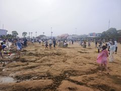 -碧海金沙