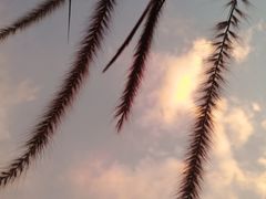 -白石龙音乐公园