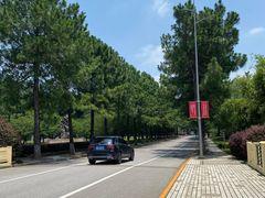 -同济大学(嘉定校区)
