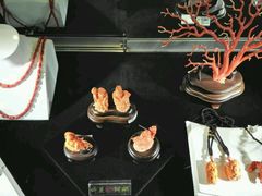 -绮丽珊瑚(台北101旗舰门市店)