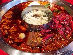 -谭鸭血老火锅(漳州路店)