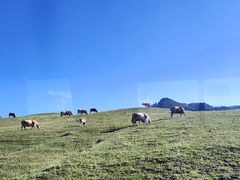 -新疆那拉提国家旅游度假区