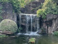 -荔枝公园(福田区)