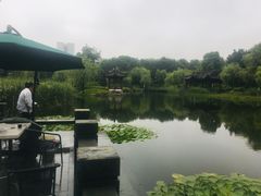 -日出青木·杭帮菜名店