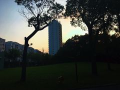 -上海财经大学(国定路校区)