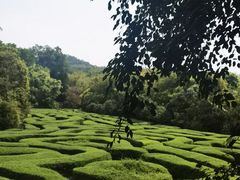 -大屏嶂森林公园