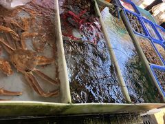 -南沙十九涌渔人码头-南门