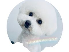 -太原东方动物医院(小店分院)