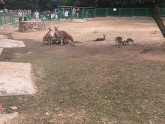 -西安秦岭野生动物园
