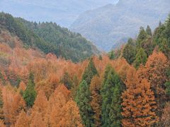 -山王坪喀斯特国家生态公园