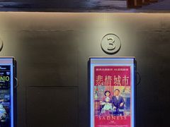 -百老汇电影中心(油麻地店)