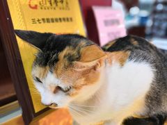 -固生堂中医连锁·推拿正骨·针灸艾灸(崇安寺分院)