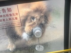 -栾川竹海野生动物园