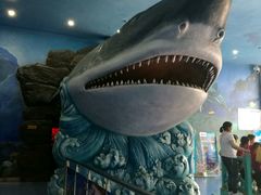 -多彩贵州城极地海洋世界