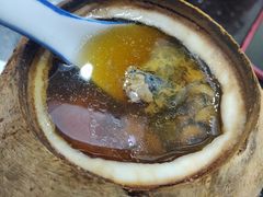 原只椰子炖竹丝鸡-達揚原味燉品(文明路店)