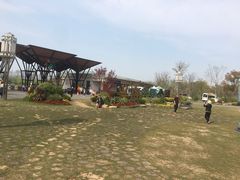 -上海长兴岛郊野公园