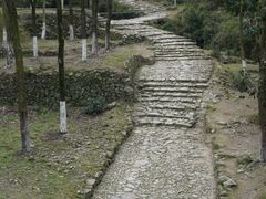 -仙霞关景区
