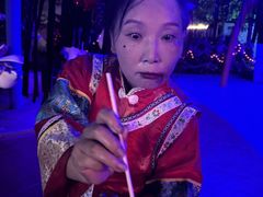 -巨鹏飞梦幻海岸