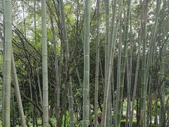 -故乡缘·香格里拉山庄(冷竹路店)