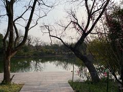 -西溪国家湿地公园