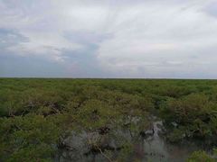 -北海金海湾红树林生态旅游区