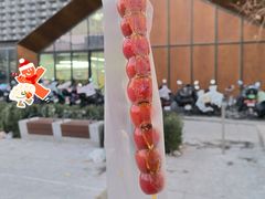 -和禄德冰糖葫芦