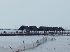 -滆湖低碳生态公园