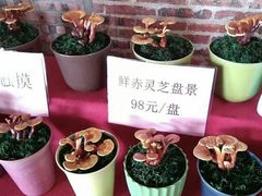 -长廊欢乐园
