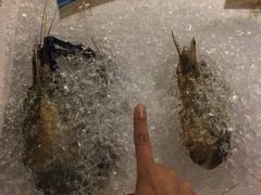 -月满港海鲜酒家