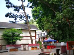 -南宁良凤江国家森林公园