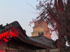-大慈恩寺(大雁塔)