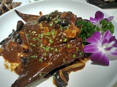 -后宫私房菜(汇客美食娱乐广场店)