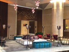 -南京禄口机场雅高铂尔曼大酒店