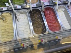 -鹤茶野所(上海首店)